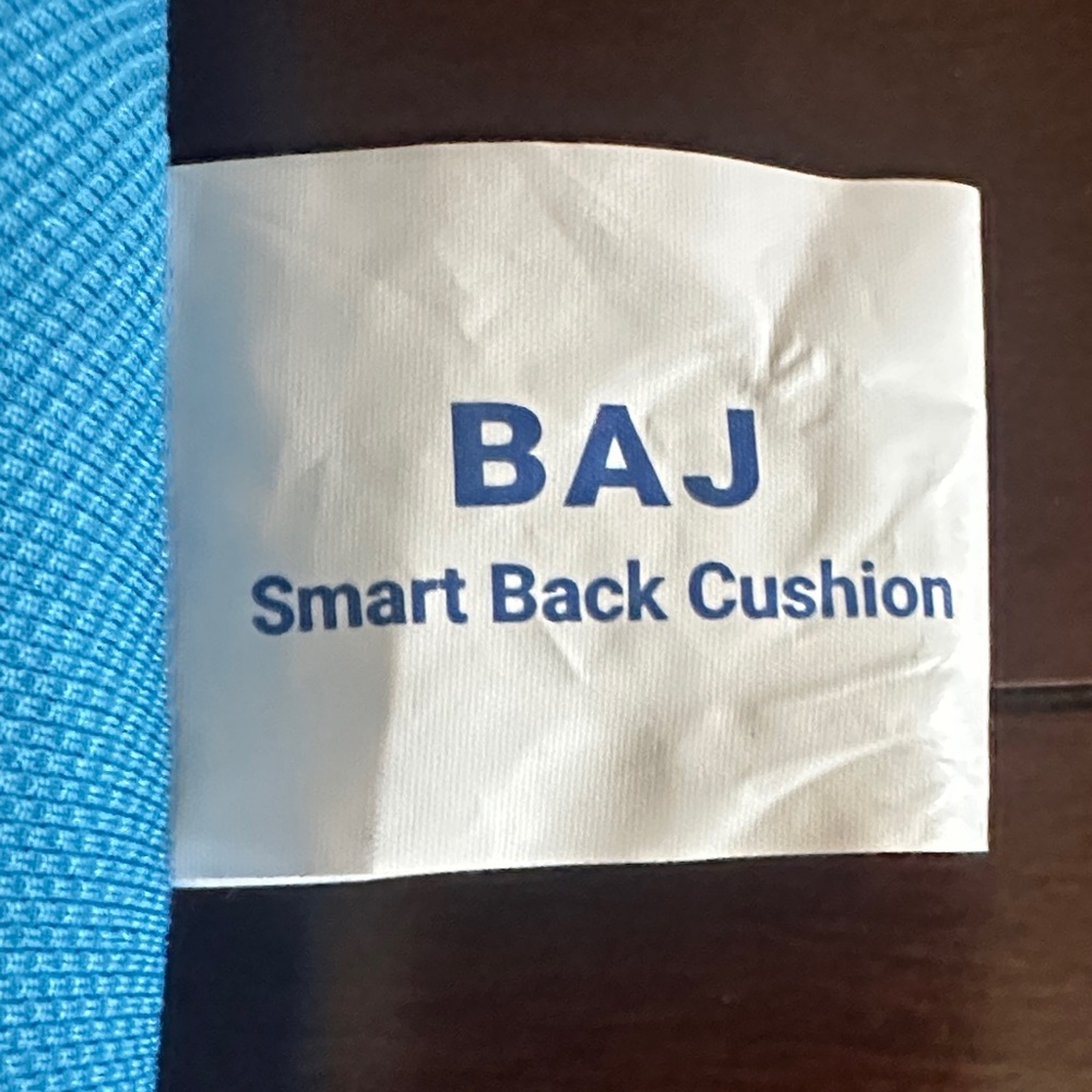 BAJ Blue Smart Back Cushion